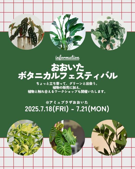 Oita Plants Farmがおおいたボタニカルフェスティバル2025を単独開催、7月18日から4日間アミュプラザおおいたで実施
