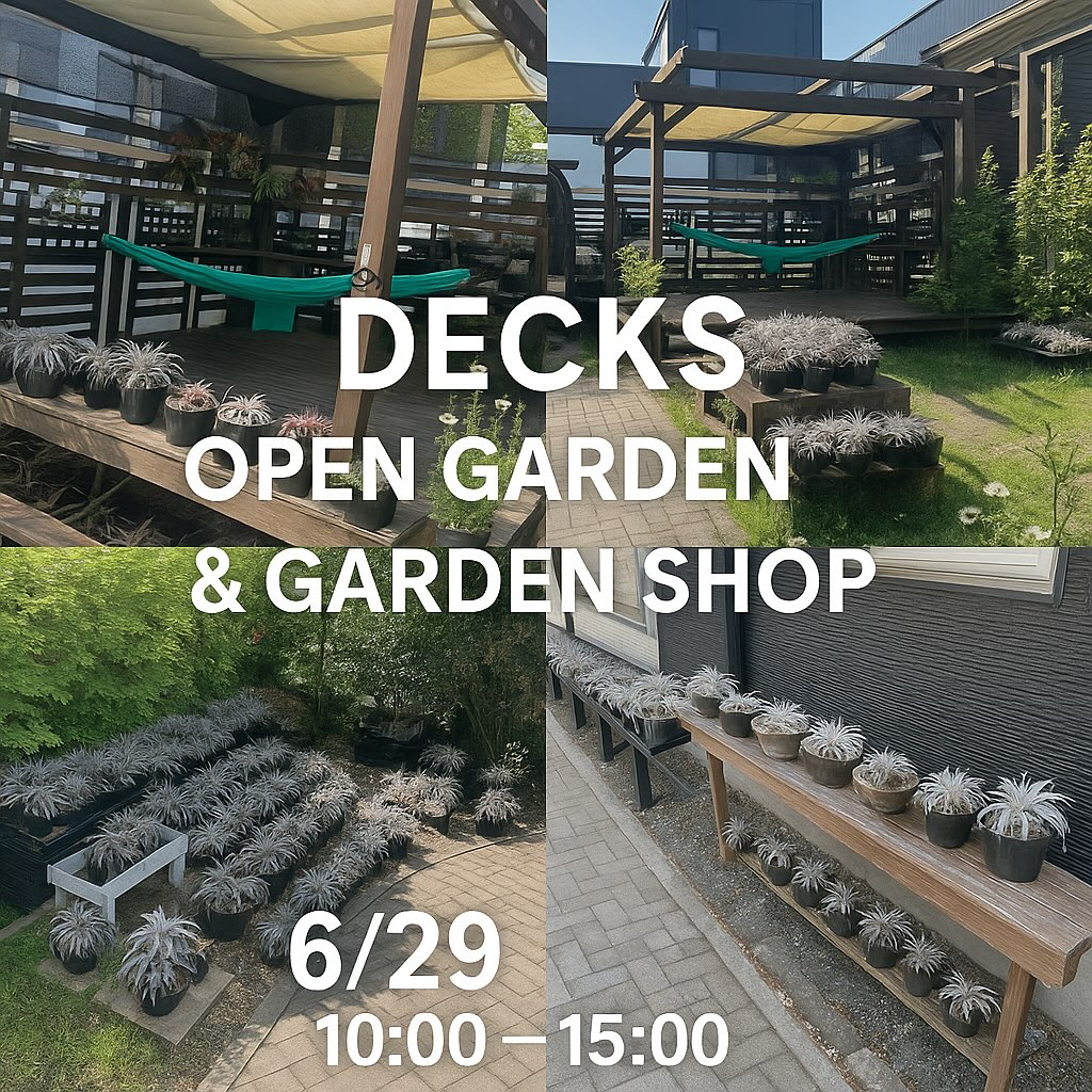 DECKS Open Garden & Garden Shopが今年最初のオープンガーデン開催、6月29日に札幌でディッキア・ブロメリア中心の植物販売実施