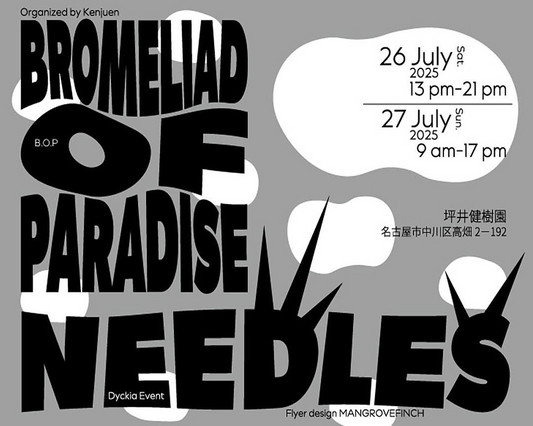 B.O.P with NEEDLESが坪井健樹園で開催、タイチームをゲストに迎えブロメリア愛好家が集結