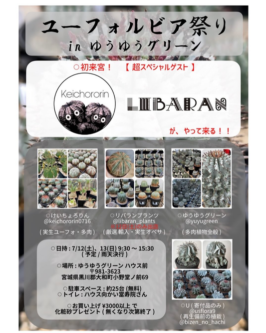 ユーフォルビア祭り in ゆうゆうグリーンが宮城県で開催、関東から専門家が集結し希少種販売