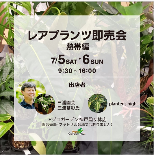 三浦園芸とplanter's highがアグロガーデン神戸駒ヶ林店でレアプランツ即売会熱帯編を開催、aroid植物中心の2日間