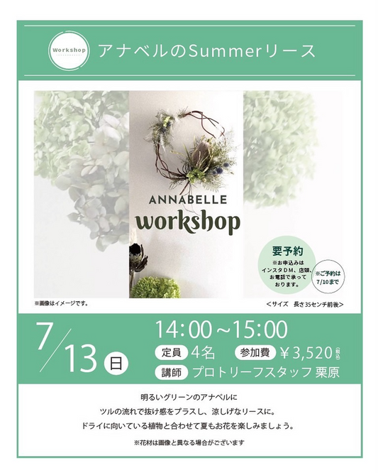 プロトリーフゆめが丘ソラトス店がグリーンアナベルサマーリースワークショップを7月13日開催、夏季限定の特別企画で定員4名の少人数制