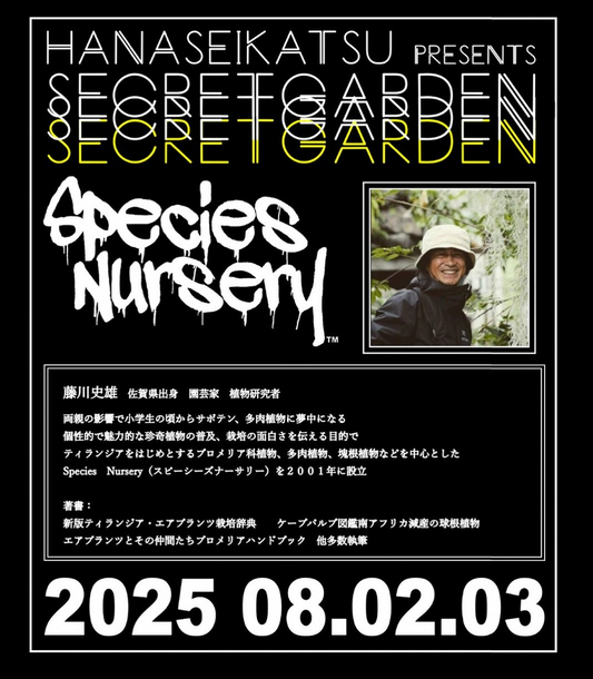 hanaseikatsuがSecret Gardenを8月開催、Species Nurseryポップアップと藤川史雄氏によるブロメリア育成教室を実施