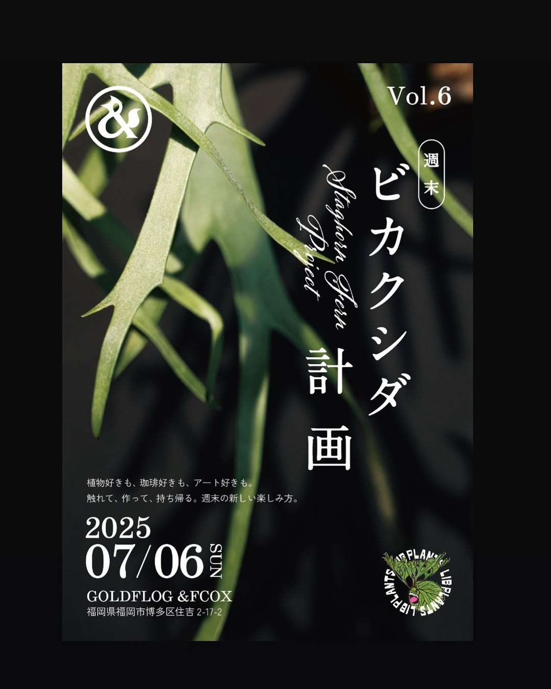 LIBPLANTSがビカクシダコルク付ワークショップを7月6日開催、マンツーマン指導でコーヒーも楽しめる