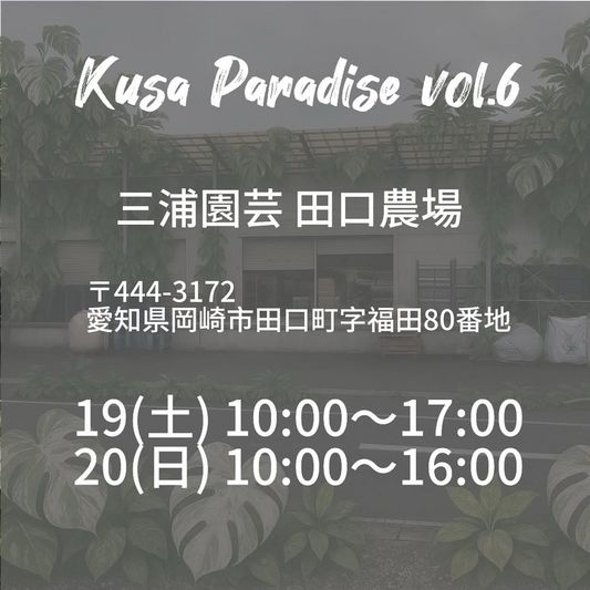 バリアン園芸がKusa Paradise vol.6を7月19-20日開催、愛知・岡崎で真夏の植物イベント実施