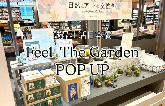 Feel The GardenがCOREDO室町テラスでPOP UPを開催、苔テラリウムワークショップと作品展示で植物文化を発信