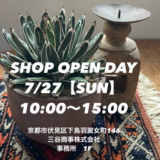 MS_kyoto_plantsが販売ショップOPEN DAYを開催、ハイブリッドアガベとユーフォルビアオベサの新商品を7月27日に限定販売
