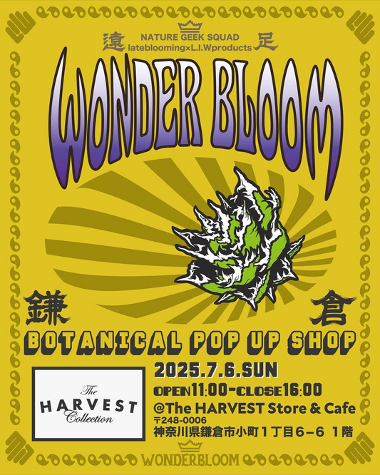 鎌倉でWONDER BLOOM遠足開催、The HARVEST Store & Cafeにて豪華メンバーが7月6日に集結