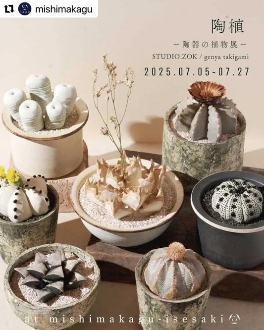 STUDIO.ZOKが三島家具伊勢崎本店で陶植POP-UPを開催、陶器の植物展で本物のようなインテリアグリーンを展示販売