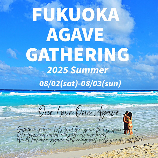 EARTHWALK PLANTSがFUKUOKA AGAVE GATHERING 2025 SUMMERを開催、オリフォルニアガーデンがゲスト参加