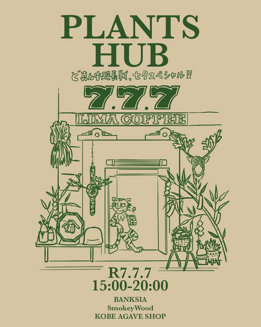KOBE AGAVE SHOPがPLANTS HUBど真ん中宴延長戦七夕スペシャルを開催、神戸凱旋イベントとして実施