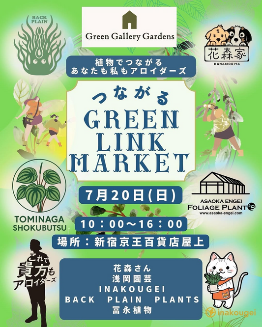 花森さんがGREEN LINK MARKETを7月20日開催、新宿京王店で5つの園芸店とアロイド販売イベント