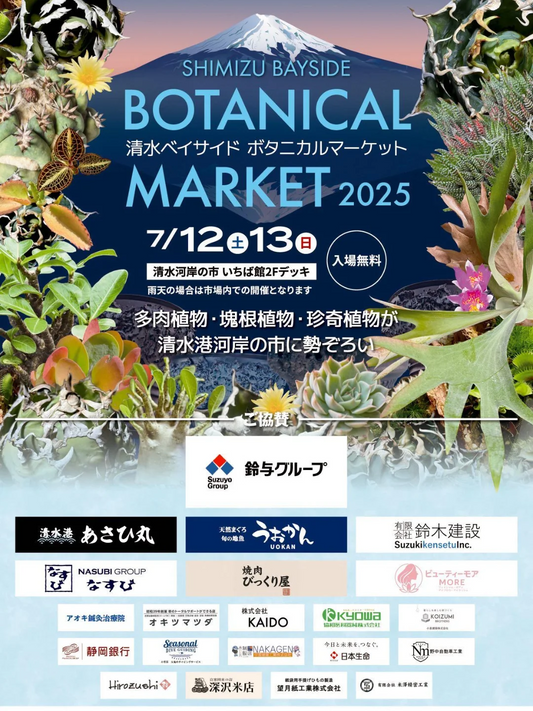 ANTIDOTEがSHIMIZU BAYSIDE BOTANICAL MARKET 2025に出店、清水海岸で7月12日・13日開催の珍奇植物イベント
