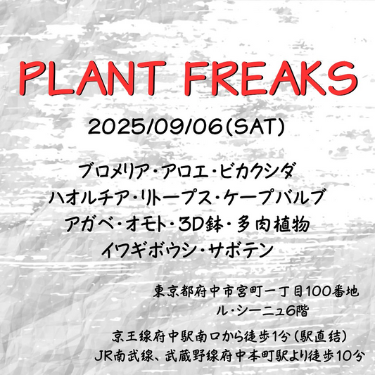 Plants Freaks 2025が府中ル・シーニュで開催、珍奇植物の大規模即売会に9店舗が出展