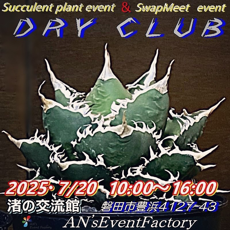 DRY CLUBが7月20日に渚の交流館で開催、多肉植物イベントとSwapMeetの同時開催が実現