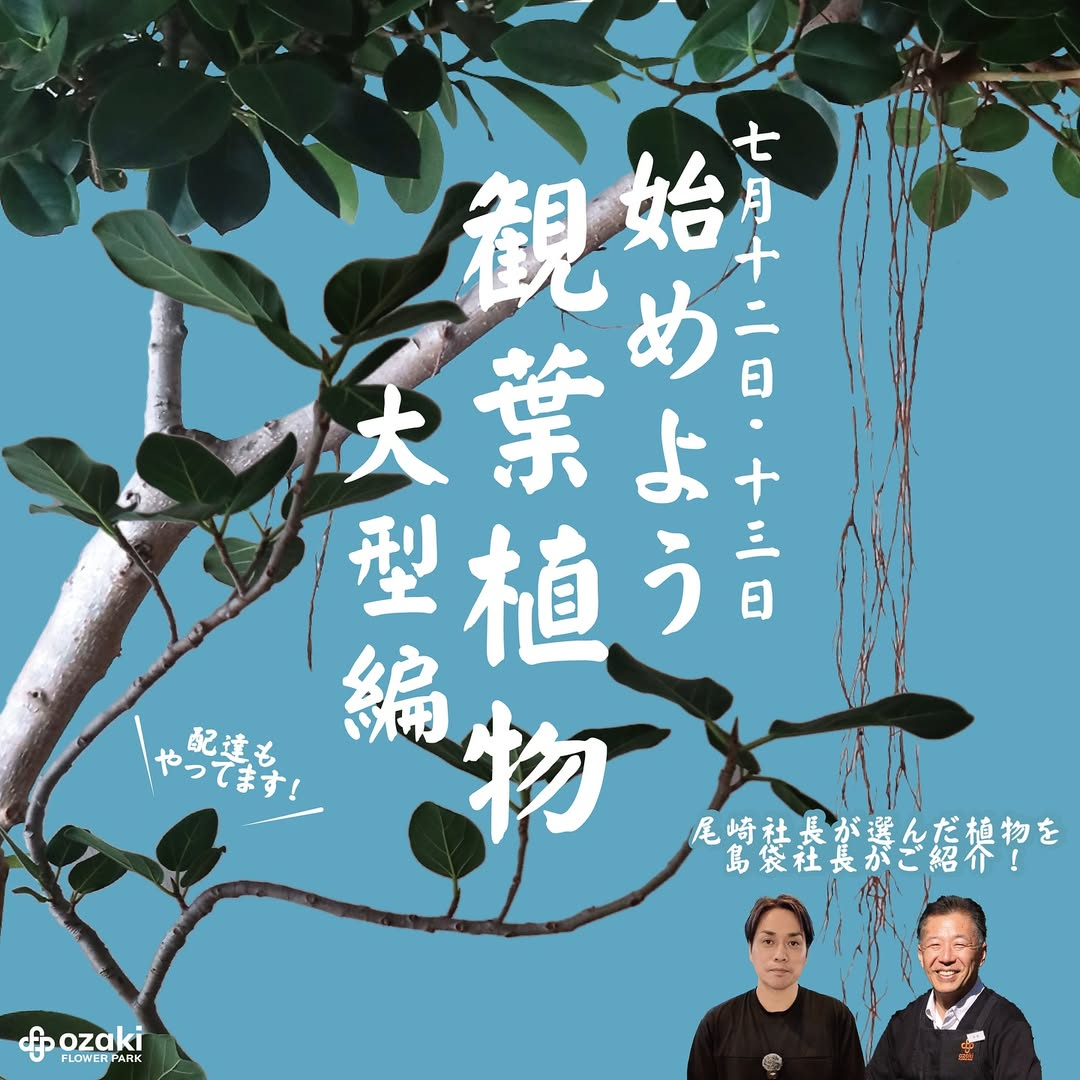 オザキフラワーパークが沖縄の生産者福樹園島袋社長による観葉植物特別講習会を7月12日開催