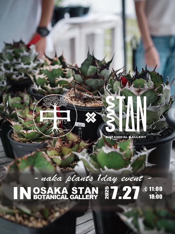 STAN BOTANICAL GALLERYが@nakaplantsによるアガベ即売会を開催、7月27日大阪南堀江で実施