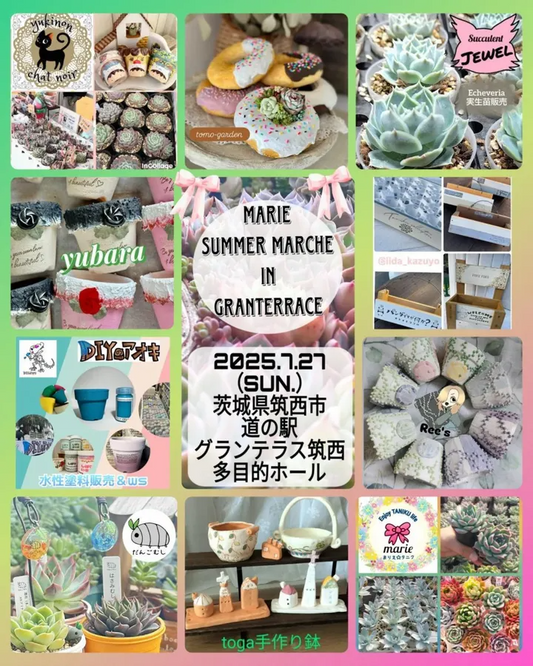 marie summer marche in Granterraceが茨城県筑西市で2025年7月開催、道の駅グランテラス筑西にエケベリア中心の10組出店者集結