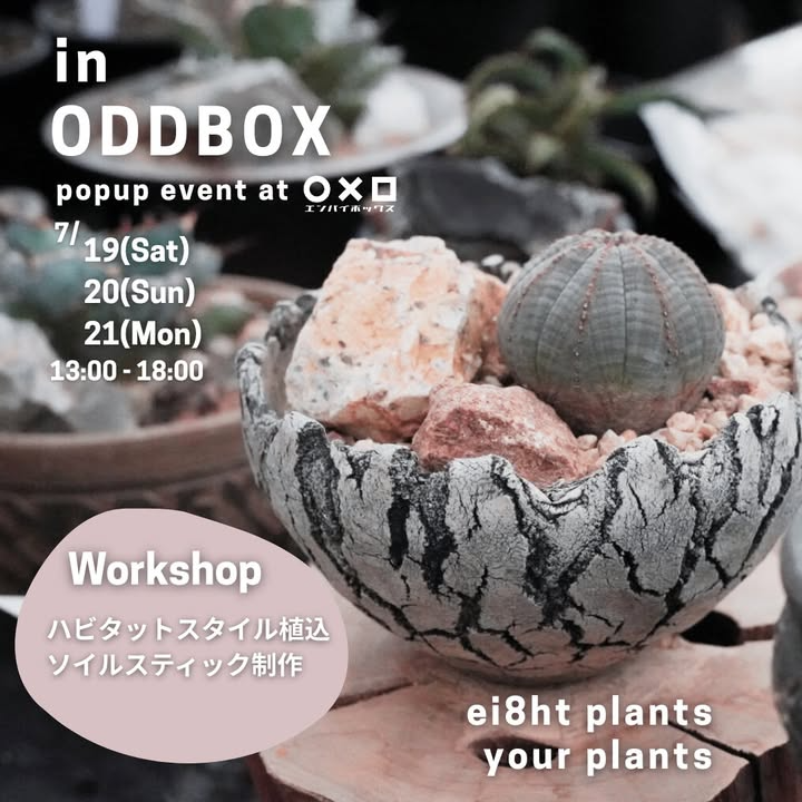 ei8ht.plantsとハビタットOidesがin ODDBOX合同POPUPイベント開催、北本でビザールプランツとワークショップを3日間実施