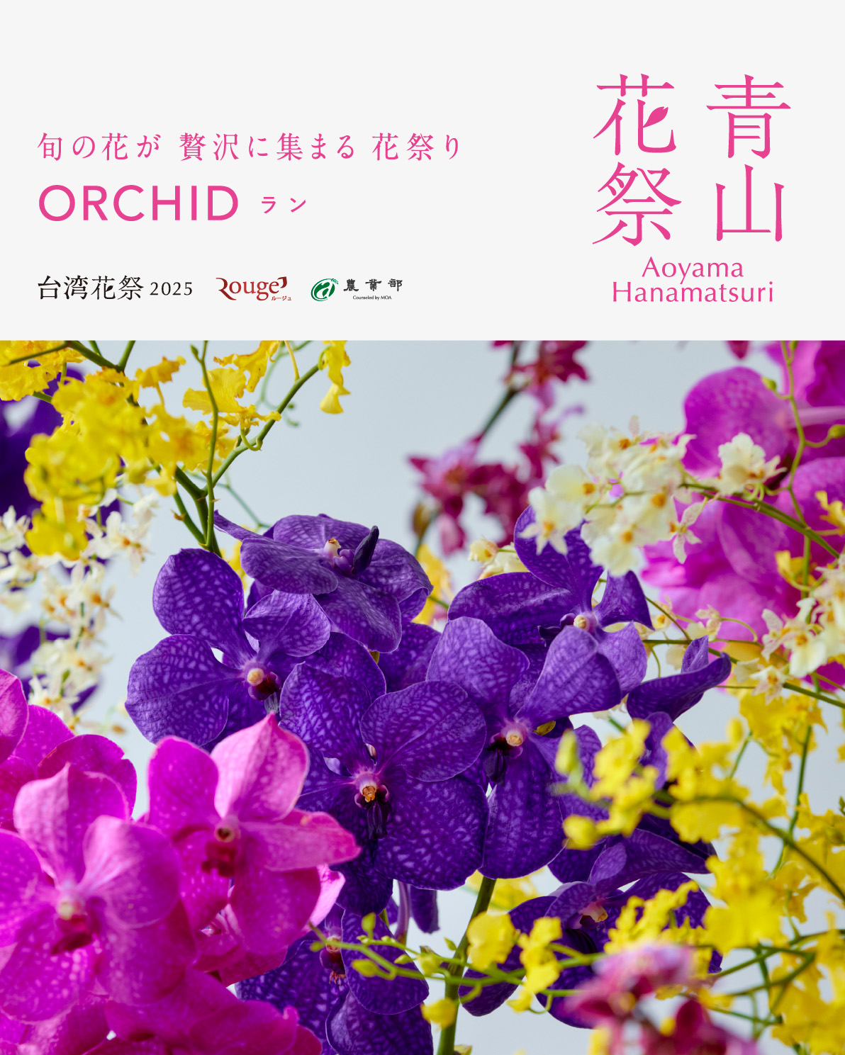 青山フラワーマーケットが青山花祭を開催、台湾産蘭とヒマワリで夏の