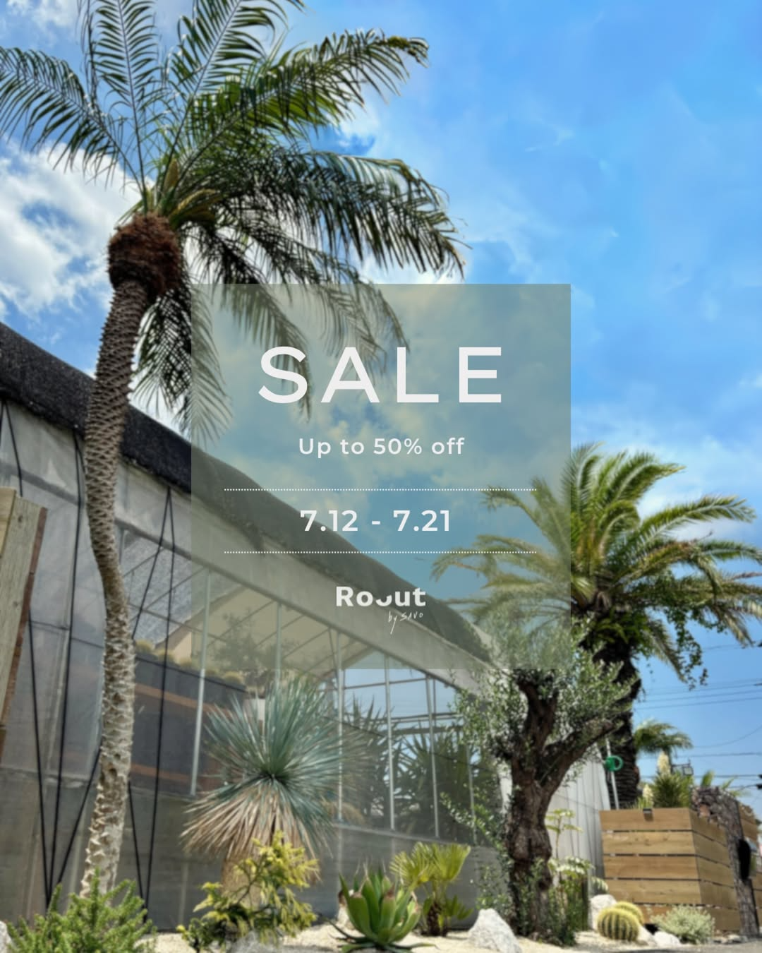Roout by SAVOが夏季大規模セールを開催、ドライガーデン植物が最大50%OFFで販売