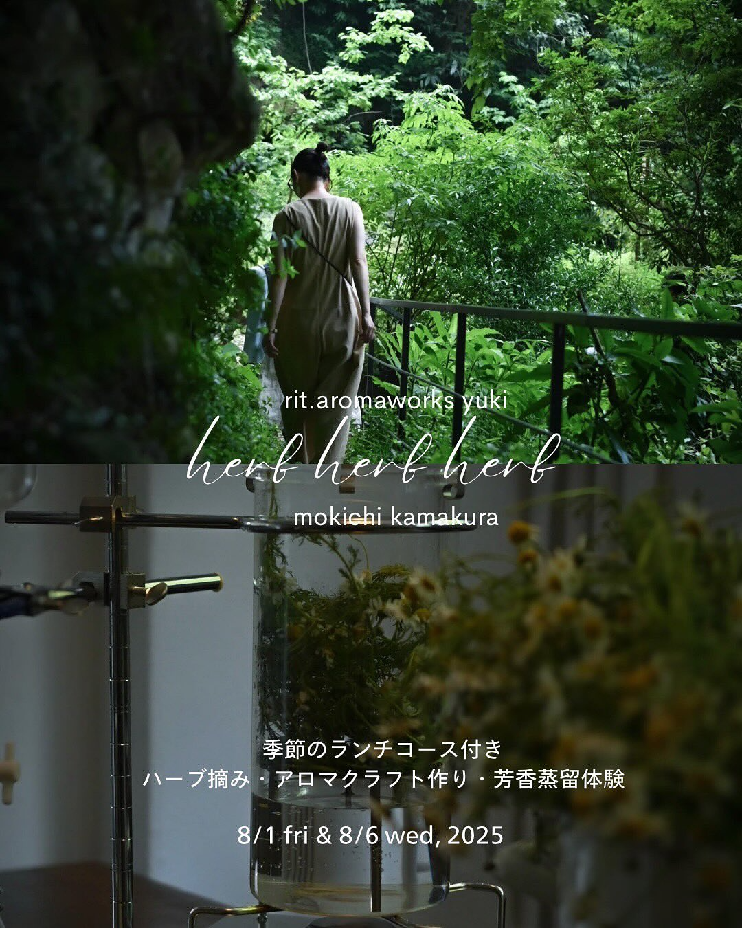 MOKICHI鎌倉が芳香植物蒸留家YUKIとハーブ摘み＆芳香蒸留体験コラボイベントを8月開催、季節のコースランチも提供