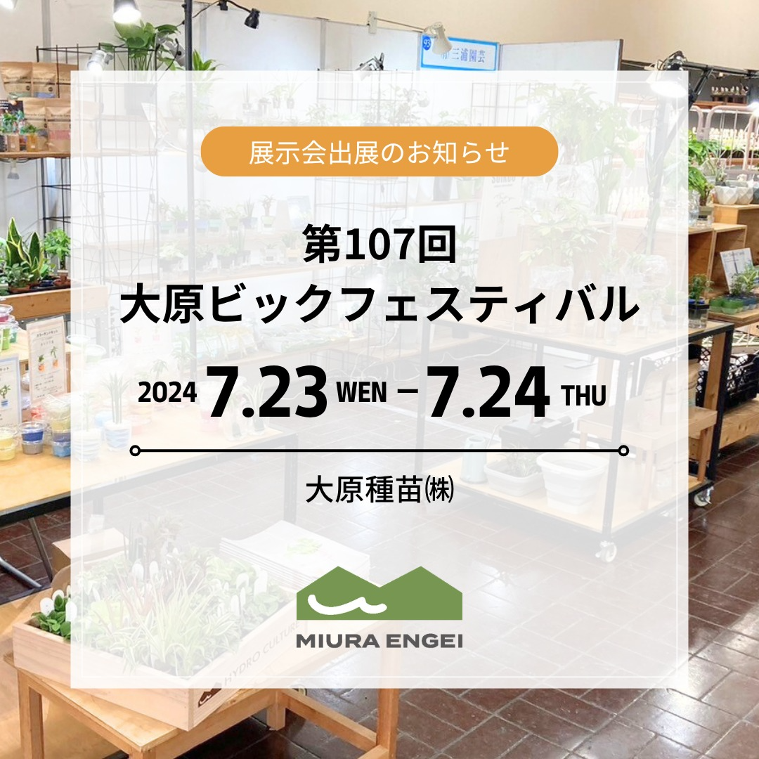 三浦園芸が第107回大原ビックフェスティバル-ジョイフリーへの出展を発表、ハイドロカルチャーと希少観葉植物の2ブース展示で新商品と新カタログを公開