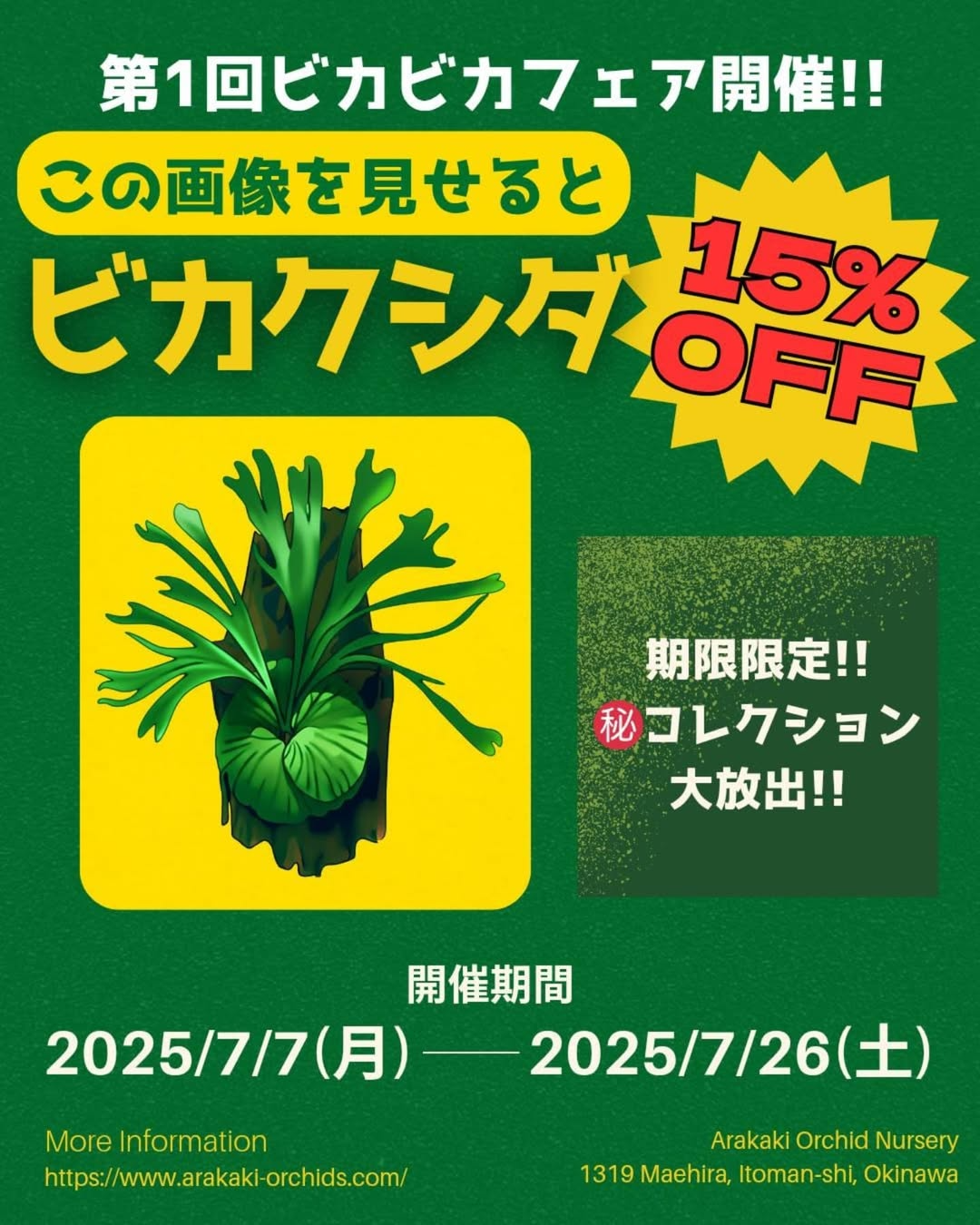 新垣洋らん園が第1回ビカビカフェアを7月7日から開催、フライヤー提示でビカクシダ15%オフの特別割引実施