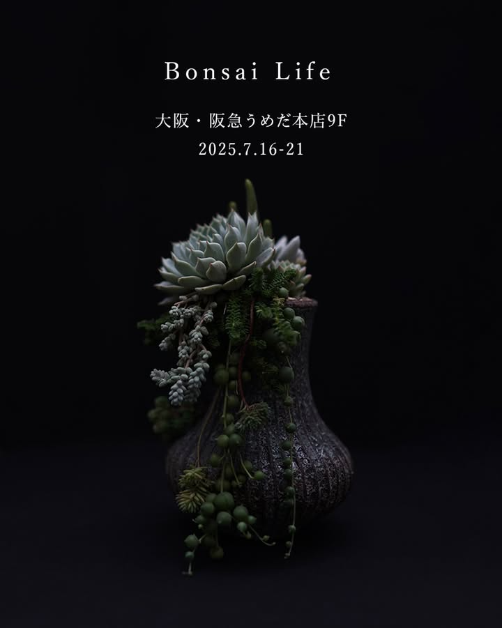 Bonsai LifeがFee The Garden主催で阪急うめだ本店に開催、テラリウムクリエイター12組が出展