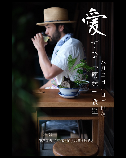 YUKARI×飯島商店が萠鉢教室を8月3日開催、100年前の日本の器と山採取植物を組み合わせた新プロダクト制作体験を実施