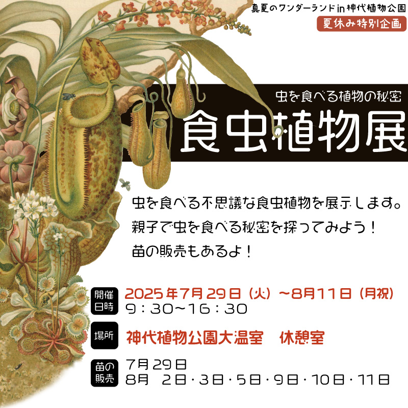 神代植物公園が食虫植物展を7月29日開催発表、大温室休憩室でウツボカズラやハエトリグサなど世界の食虫植物を展示し捕虫方法観察コーナーやフォトスポットを設置