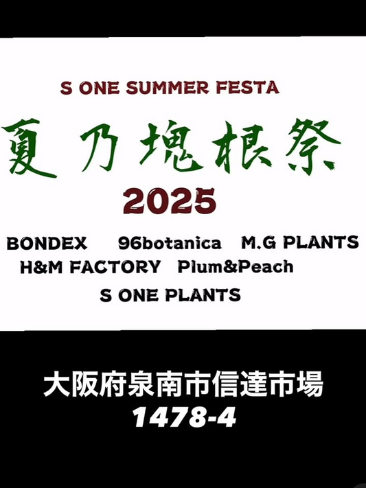 S ONE SUMMER FESTA夏の魂根祭2025を8月2日開催発表、大阪府泉南市で塊根植物ショップとのコラボ企画とベアルート株販売を5店舗出店で実施