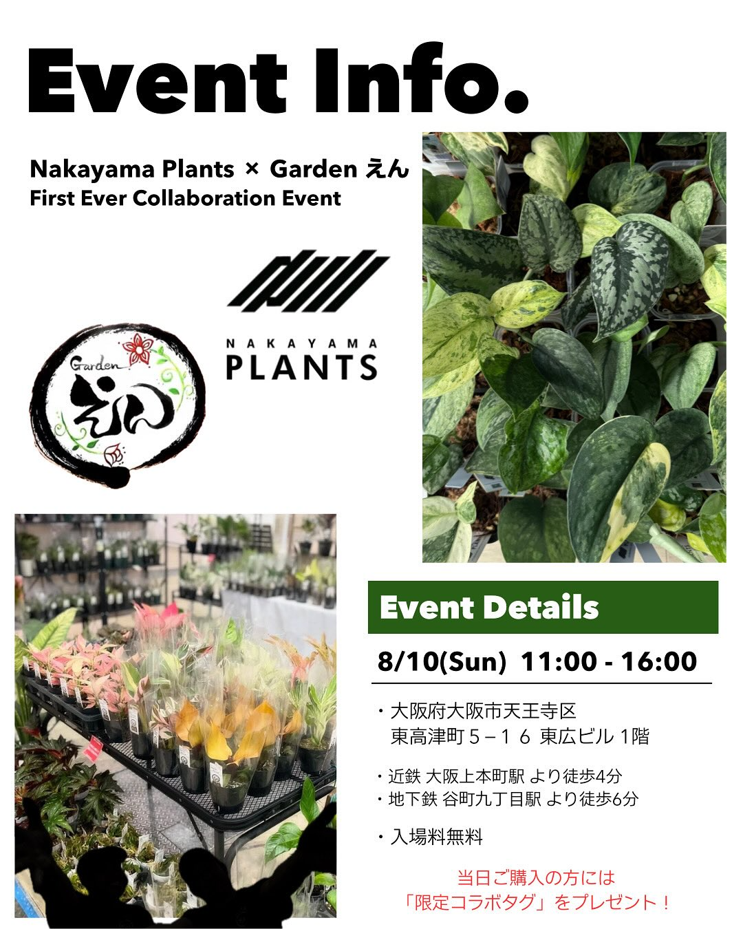 Nakayama PlantsとGardenえんが初回コラボイベントを大阪で開催、スキンダプサスとアロイド植物の専門展示販売が実現