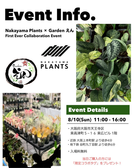 Nakayama PlantsとGardenえんが初回コラボイベントを大阪で開催、スキンダプサスとアロイド植物の専門展示販売が実現