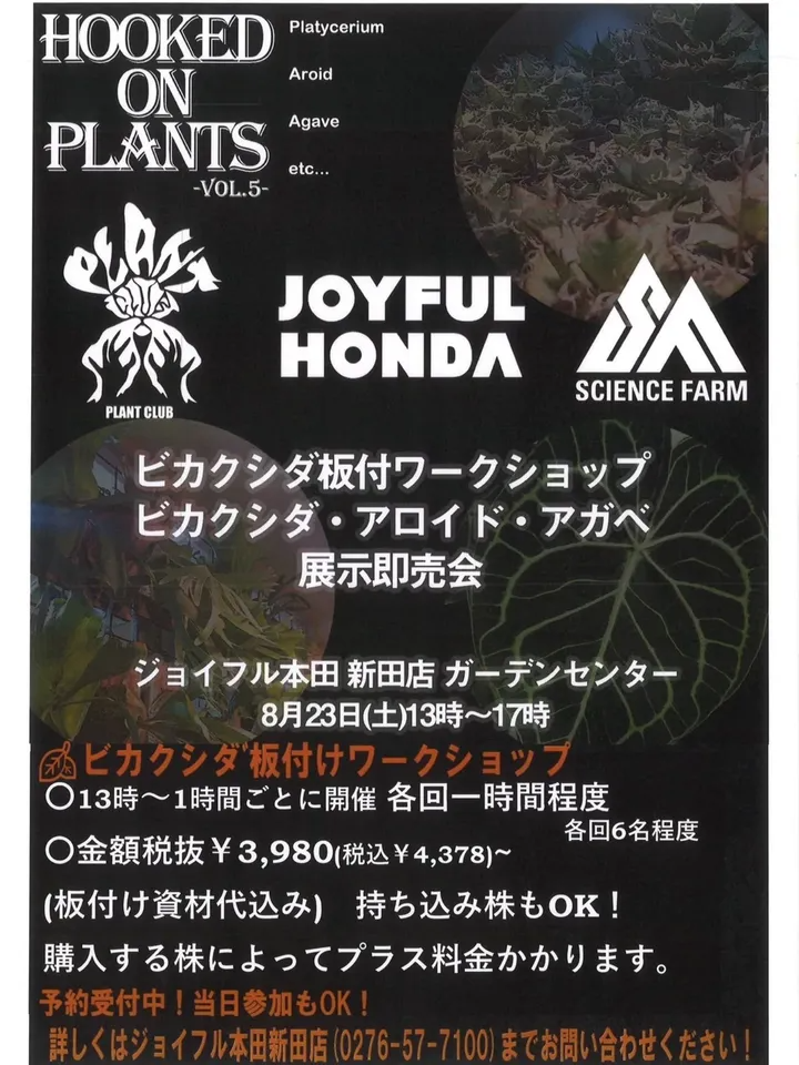 ジョイフル本田新田店がHOOKED ON PLANTS vol.5を開催、群馬でビカクシダ板付けワークショップとプラントクラブ・サイエンスファーム販売会実施