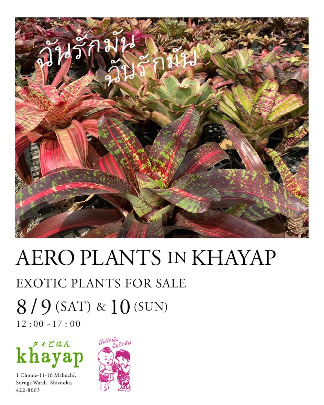 AERO PLANTSがkhayapでエキゾチック植物pop upイベント開催、静岡でアロエ・タンクブロメリア・ハイブリッドアロエ販売とタイ料理体験提供