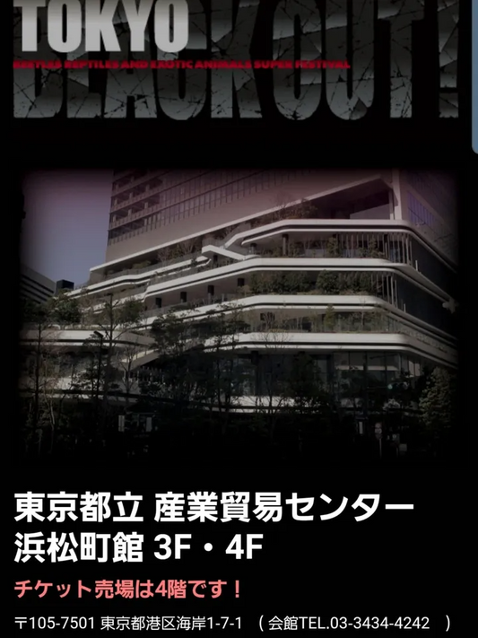 TOKYO BLACK OUTが8月10日に東京都立産業貿易センター浜松町館で開催、プラントクラブがビカクシダとアンスリウムを出展