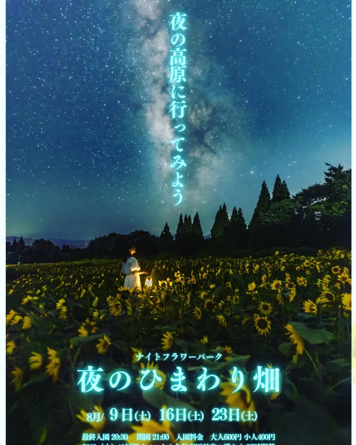くじゅう花公園がナイトフラワーパーク夜のひまわり畑を8月9日初開催、大分で5万本ひまわりライトアップと星空共演を3夜限定実施