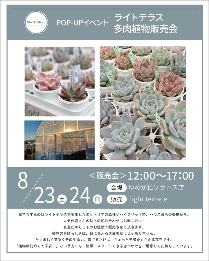 プロトリーフがライトテラス多肉植物POP-UP販売会を8月23日横浜開催、エケベリア原種・交配種・美苗の即売会を実施