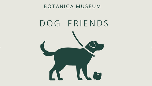 BOTANICA MUSEUMがDOG FRIENDSを8月9日千葉美浜区開催、わんちゃん同伴可能な夜間営業でフラワーアート空間を2日間限定体験