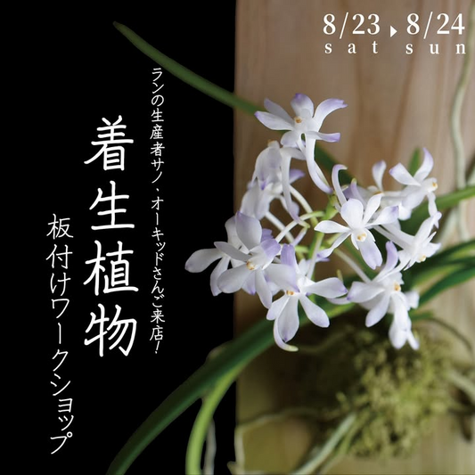 オザキフラワーパークがランの生産者サノ・オーキッド招聘、着生植物板付けワークショップを8月23日東京練馬で2日間開催