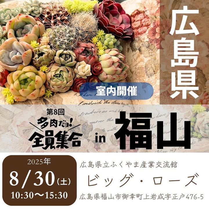 広島県立ふくやま産業交流館が第8回多肉だョ！全員集合 in 福山を開催、24店舗の多肉植物専門店が大集合