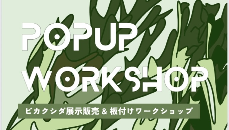 精文館書店新豊田店が第3回ビカクシダ展示販売&板付けワークショップ2025を開催、ワイルド株中心の展示販売と全5回の板付け体験