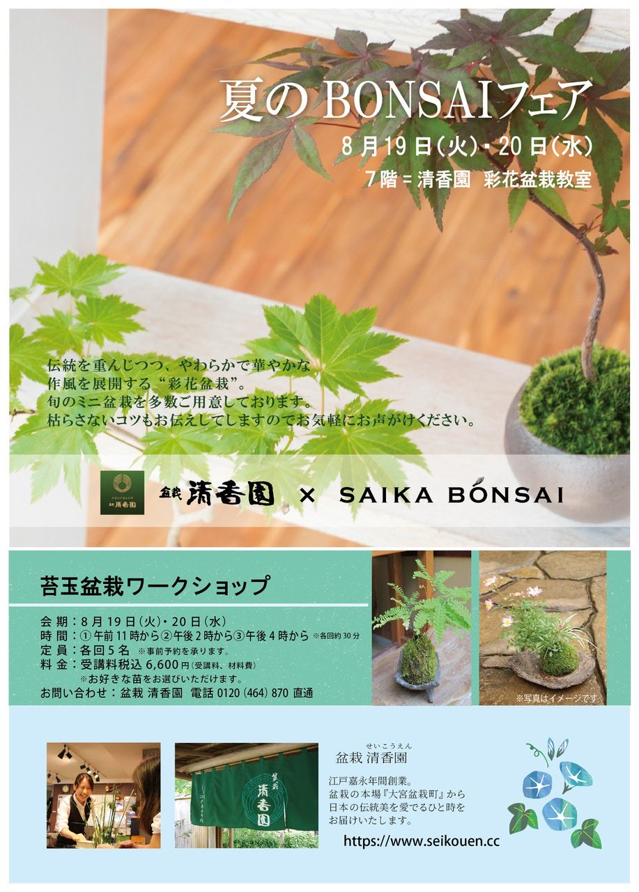 そごう横浜店で夏のBONSAIフェアと苔玉ワークショップを開催、彩花盆栽による伝統園芸体験