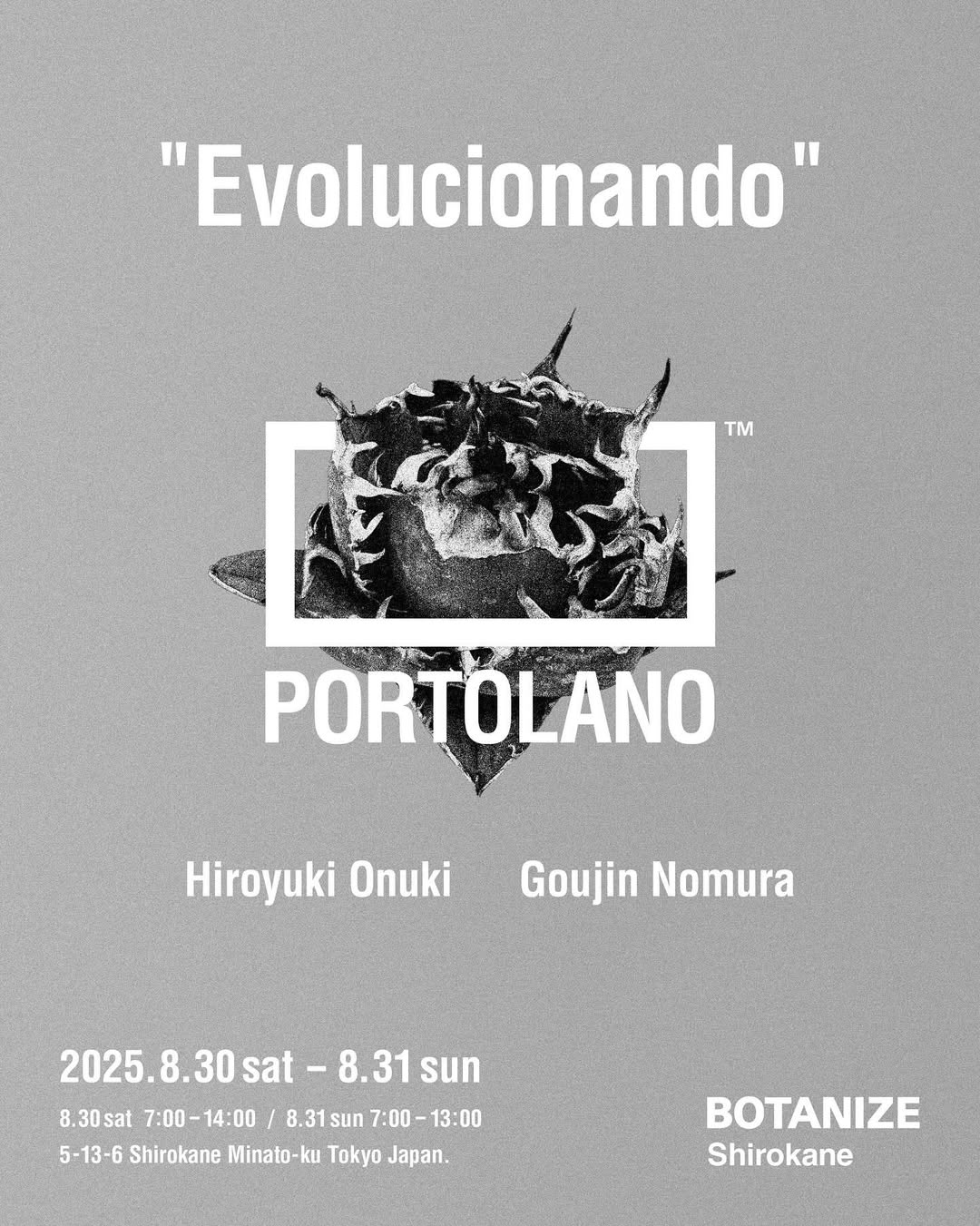 BOTANIZE白金店がEvolucionando2025を開催、PORTOLANO Agave oteroiナーセリー特選株と大貫弘由岐・野村豪人作品販売