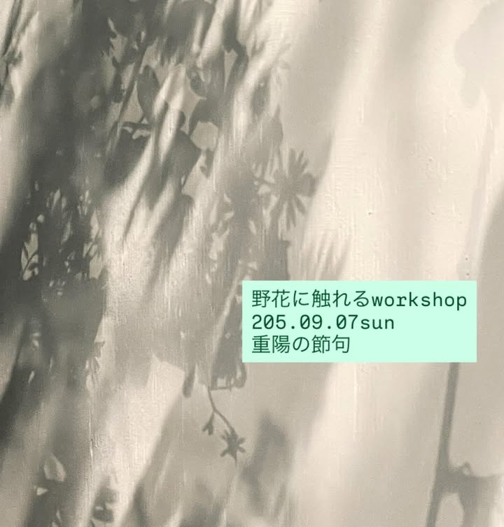 hocギャラリーが野の花に触れるworkshop2025を9月7日開催、重陽の節句にちなんだ野菊を中心とした秋草アレンジメント作り