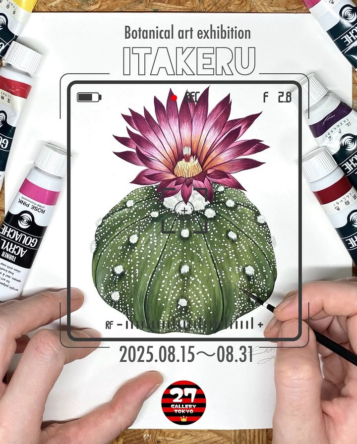 27 GALLERY TOKYOがBotanical art exhibition ITAKERU 2025を8月15日〜31日開催、植物をテーマとした4名の作家による企画展実施