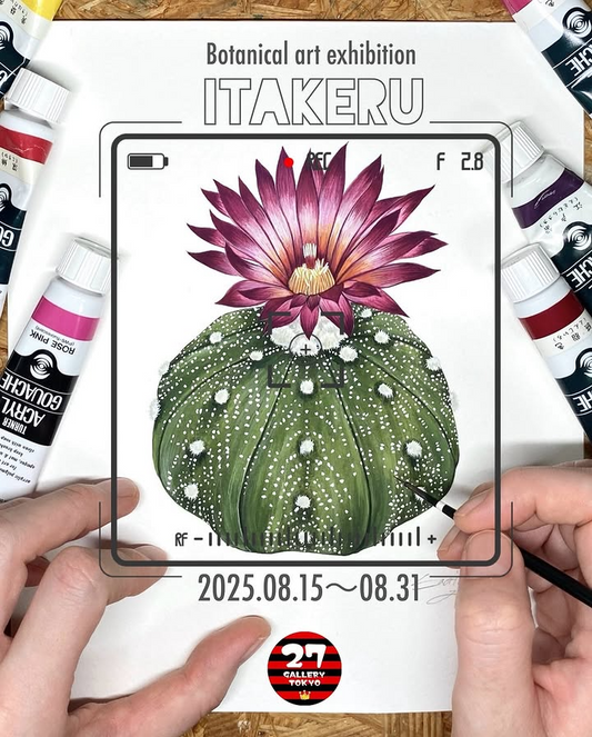 27 GALLERY TOKYOがBotanical art exhibition ITAKERU 2025を8月15日〜31日開催、植物をテーマとした4名の作家による企画展実施