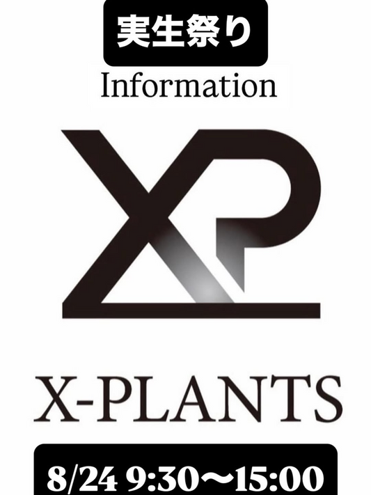 X-PLANTSが実生祭りオープンハウス2025を8月24日開催、実生全品10%オフと珍しい植物・希少植物の販売で植物愛好家に注目