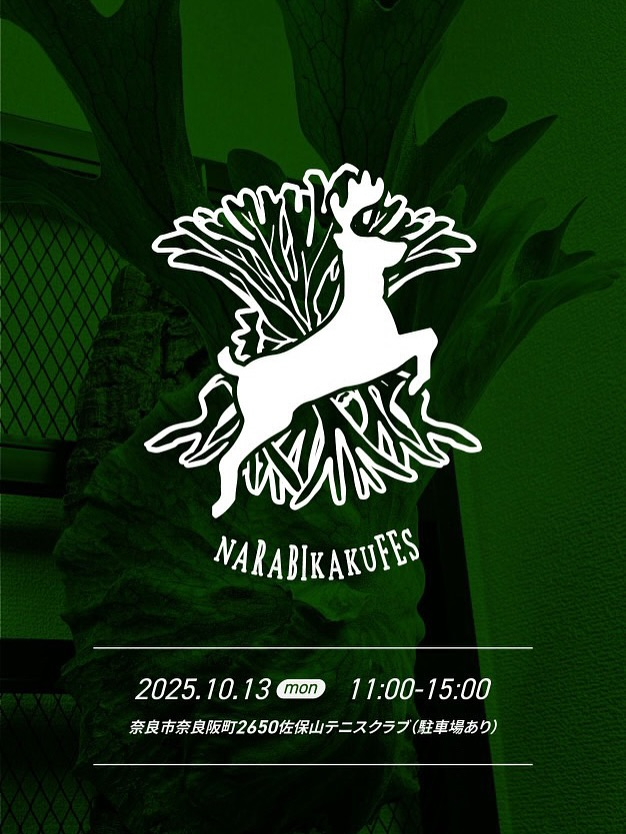 NARA BIKAKU FES 2025が10月13日に開催、佐保山テニスクラブでビカクシダ中心の展示販売とFOOD出店が集結